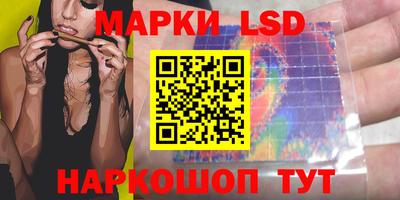гашик Дубна