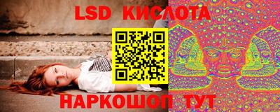 амф Донской