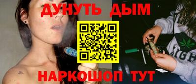 гашик Дубна