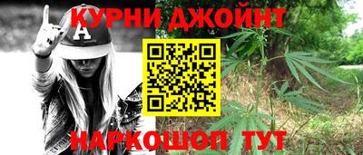 гашик Дубна