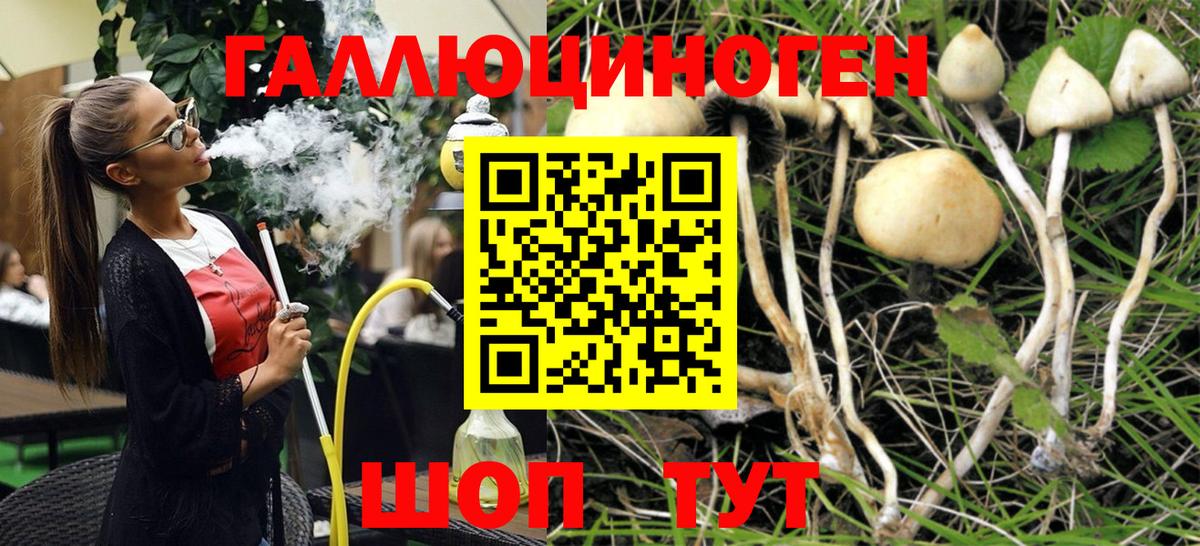 Галлюциногенные грибы ЛСД  Вход с VPN  Верхний Уфалей 